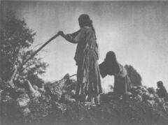 Filling the earth pit. Edward S. Curtis, The North American Indian, 1907.