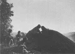 Covered earth pit. Edward S. Curtis, The North American Indian, 1907.