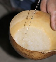The "pearls" in the distillation of mezcal.