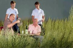 The Guy family at the wormwood harvest in 2013. In the front row François and Pierre Guy (4th and 3rd generation), behind them Pierre and Paul Guy (5th generation).