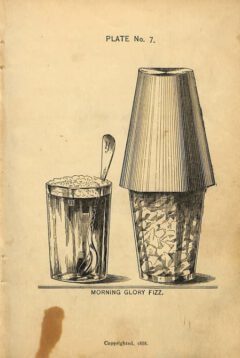 Harry Johnson - New and Improved Illustrated Bartender's Manual, after page 72, plate 7,1888.