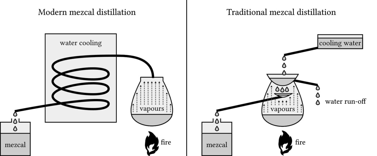 Distillation of mezcal.