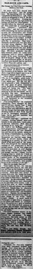 New Ulm Weekly Review, 31. December 1884, Page 1.