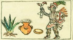 Mayahuel with a ripe agave and a pot of fermented agave. From the Codex Borbónico, around 1530.