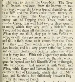 Christopher Frycke & Christoph Schweitzer: A relation of two several voyages made into the East-Indies. 1700. Page 47.