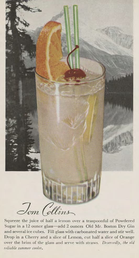 Bouteille Mélange pour Cocktail Limoncello 110 g