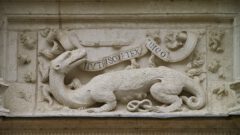 The salamander, the emblem of King Francis I, with its motto: "Nutrisco et extinguo" - Château d'Azay-le-Rideau.
