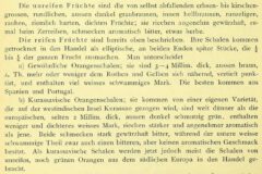 G. C. Wittgenstein: Enzyclopaedie der Naturwissenschaften. II. Abtheilung. II. Theil. 1882, page 612.
