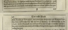 Des HochEdelgebornen Johan Albrechts von Mandelslo Morgenländische Reyse-Beschreibung. 1658, page 41-42.