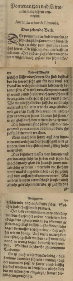 Antonius Mizaldus: Artztgarten. 1577, page 289-291.