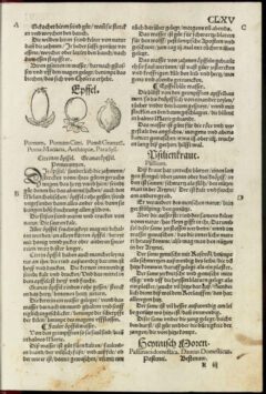 Eucharius Rößlin: Kreutterbuch von allem Erdgewächs. 1533, page 165.
