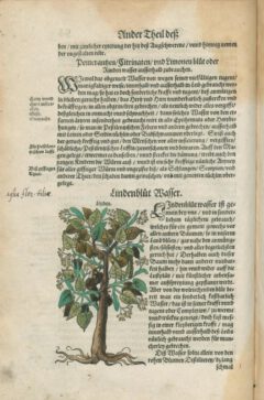 Walther Hermann Ryff: New Vollkommen Distillierbuch. 1597, page 55 (links).