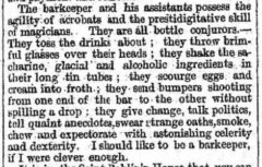 The Brooklyn Daily Eagle. 19. April 1856, page 2.