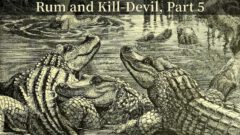 Titelbild - Rum and Kill-Devil, Part 5.