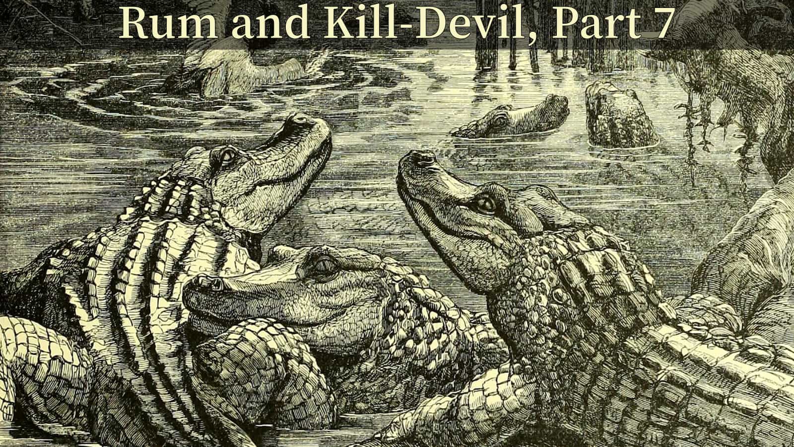 Titelbild - Rum and Kill-Devil, Part 7.