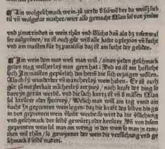 Arnoldus de Nova Villa: Von Bewarung vnd Beraitung der Wein. 1478, page 31-32.