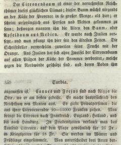 Christian Friedrich Mylius: Malerische Flußreise durch das Südliche Frankreich. Vierter Band. 1819, page 339-340.