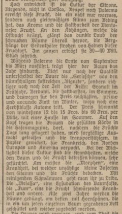 Danziger Zeitung, Beilage zu Nr. 19302. 10. Januar 1892, page 1.