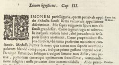 Giovanni Baptista Ferrari: Hesperides.1646, page 195.