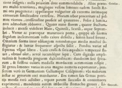 Giovanni Baptista Ferrari: Hesperides.1646, page 195,2.