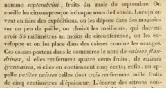 J.-A. Risso: Essai dur l’histoire naturelle des orangers ... dans le departement des Alpes Maritimes. 1813, page 73.