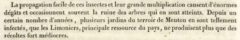 J. L. A. Loiseleur Deslongchamps:Nouveau duhamel ou traité des arbres et arbustes. Tome septième. 1819, page 138.