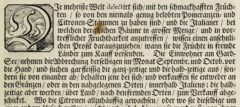 Johann Christoph Volkamer: Continvation der Nürnbergische Hesperides. 1714, page 33,1.
