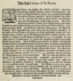 Johann Christoph Volkamer: Continvation der Nürnbergische Hesperides. 1714, page 78.