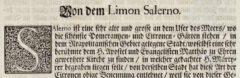 Johann Christoph Volkamer: Nürnbergische Hesperides. 1708, page 155.
