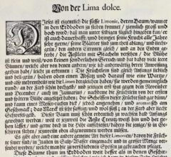 Johann Christoph Volkamer: Nürnbergische Hesperides. 1708, page 165.