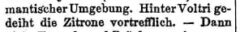 Th. Gsell Fels: Süd-Frankreich. Dritte Auflage, 1887, column 59.